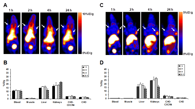 Theranostics Image