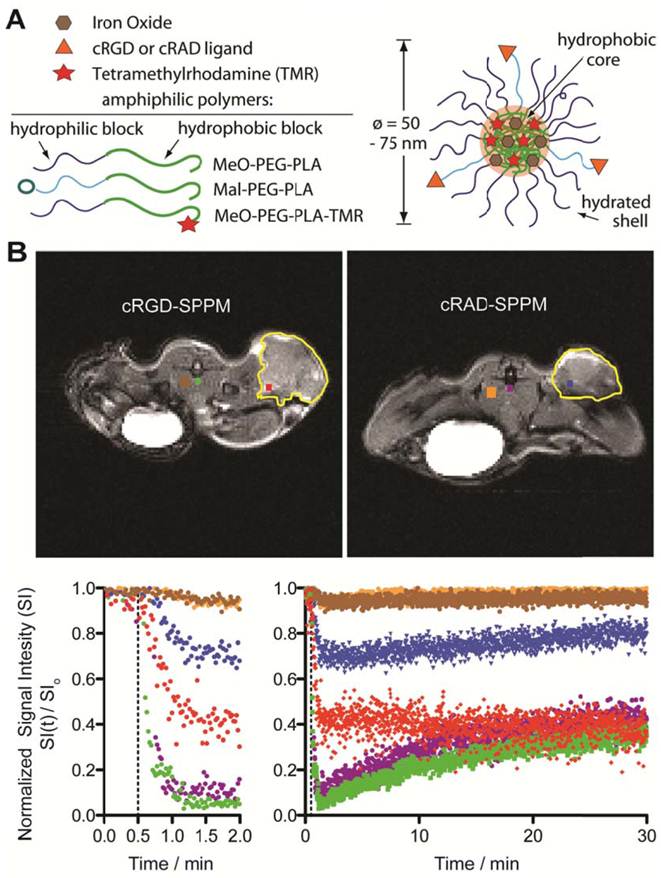 Theranostics Image