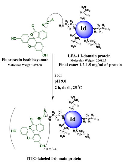 Theranostics Image