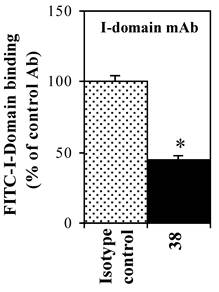 Theranostics Image