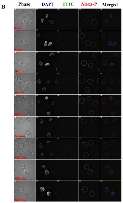 Theranostics Image