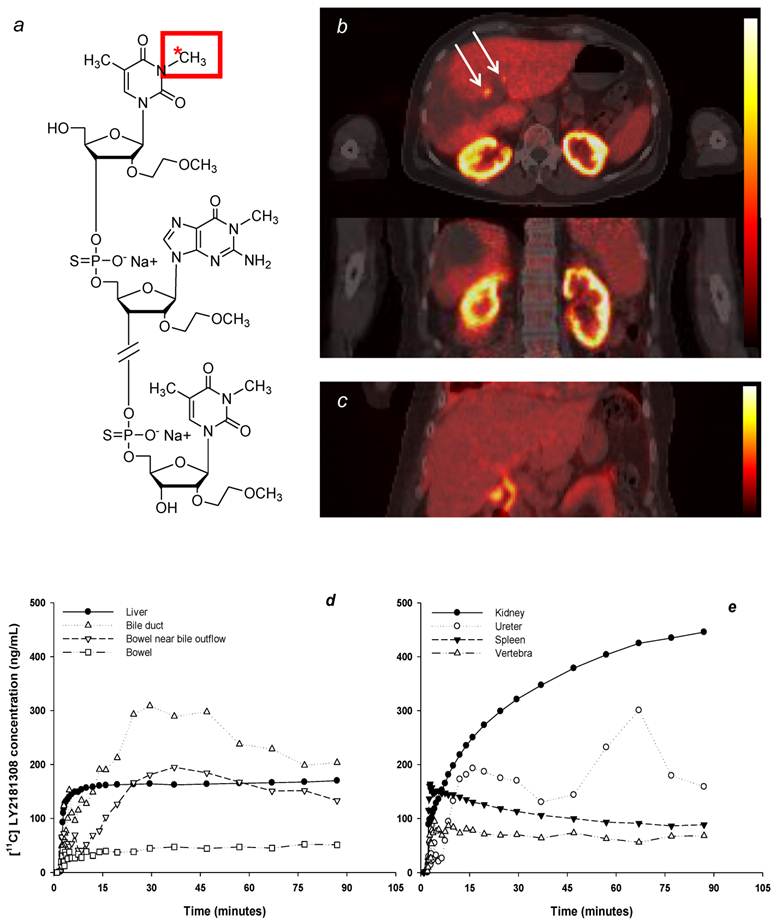 Theranostics Image