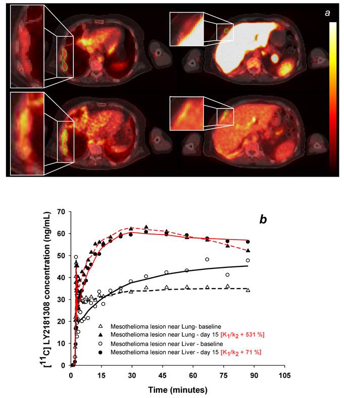 Theranostics Image