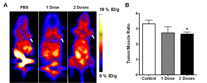 Theranostics Image