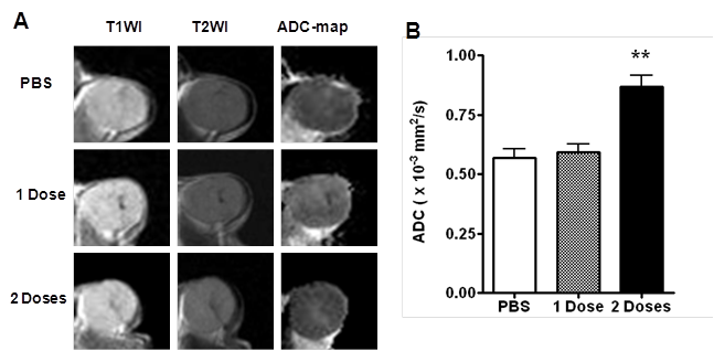 Theranostics Image