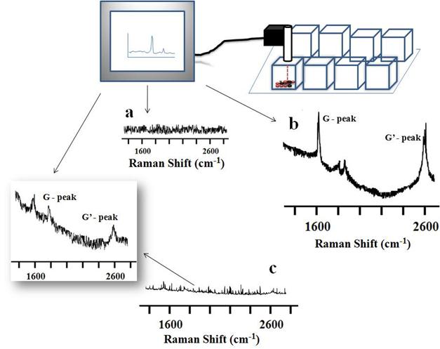 Theranostics Image