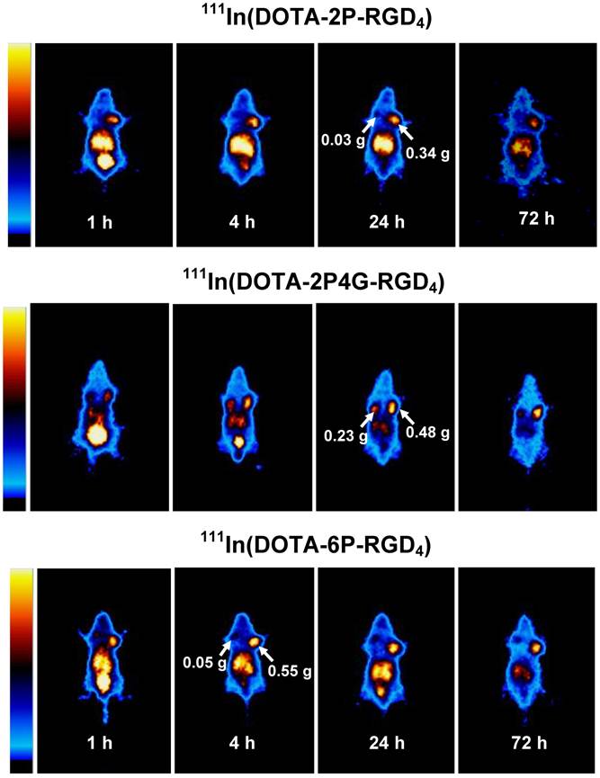 Theranostics Image