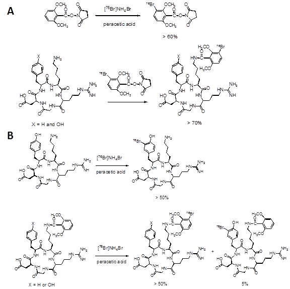 Theranostics Image