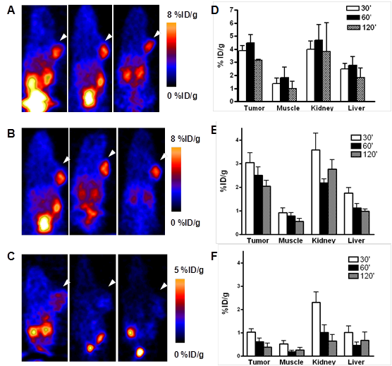 Theranostics Image