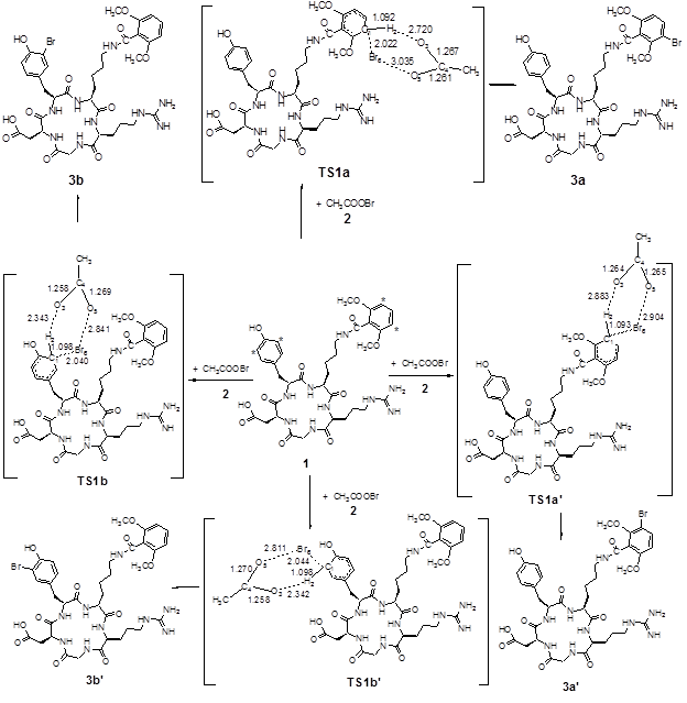 Theranostics Image