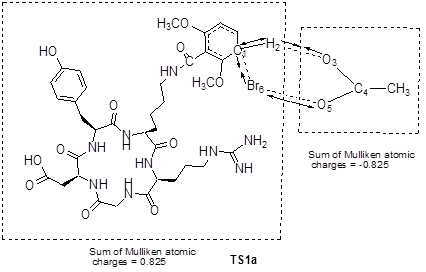 Theranostics Image