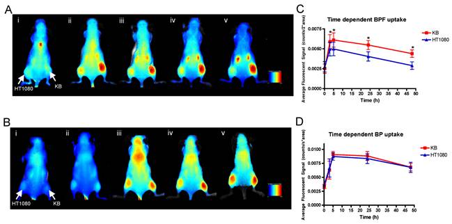 Theranostics Image