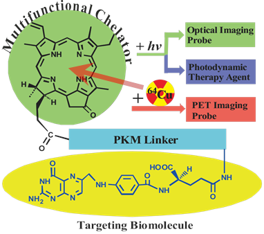 Theranostics Image