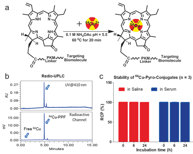 Theranostics Image