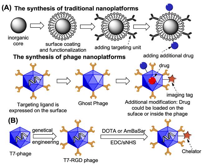 Theranostics Image