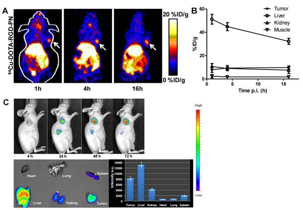 Theranostics Image