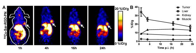 Theranostics Image