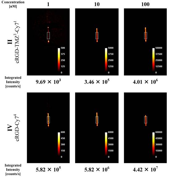 Theranostics Image