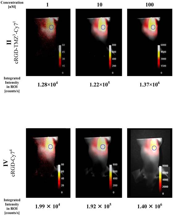 Theranostics Image