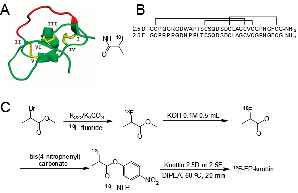 Theranostics Image