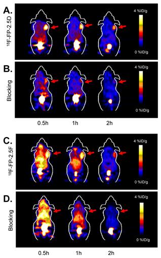 Theranostics Image