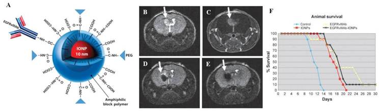 Theranostics Image