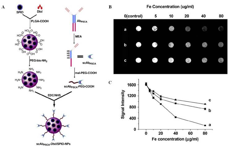 Theranostics Image