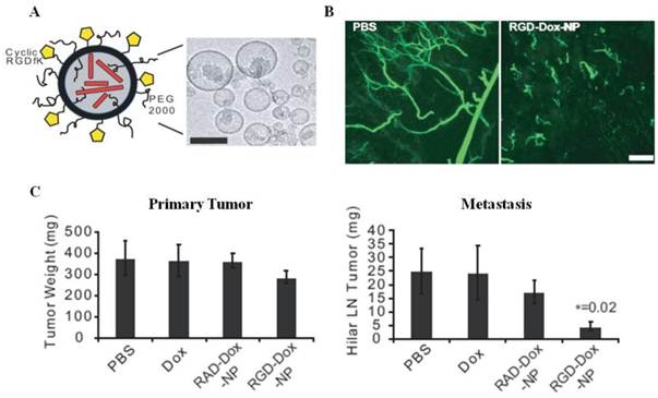 Theranostics Image