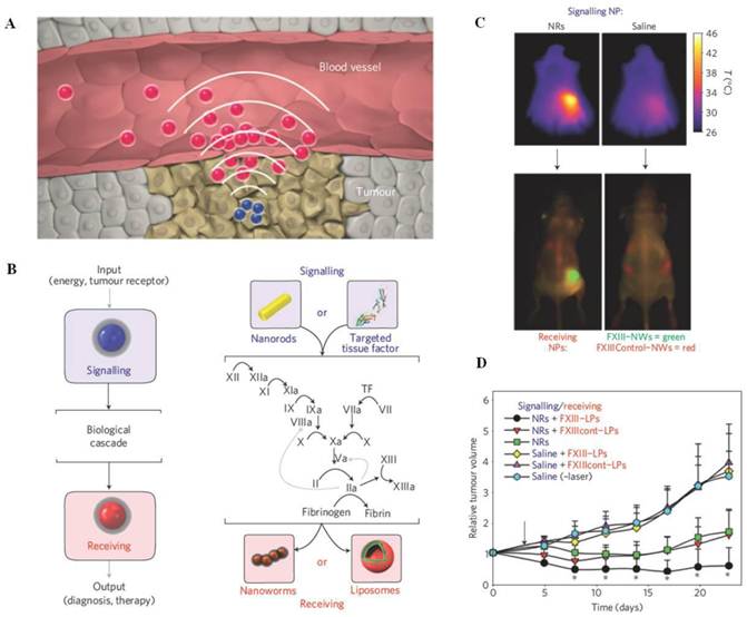 Theranostics Image