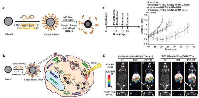 Theranostics Image