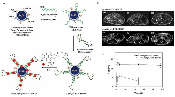 Theranostics Image