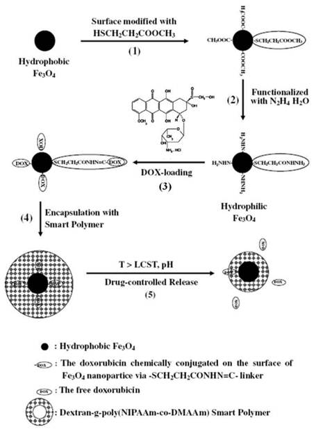 Theranostics Image