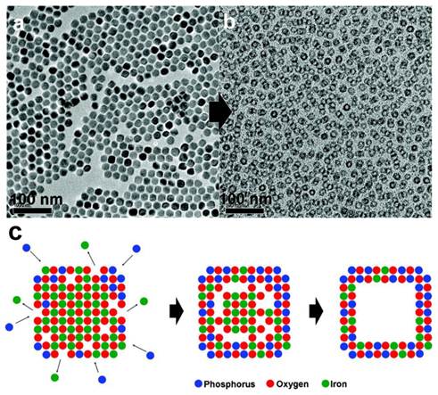 Theranostics Image