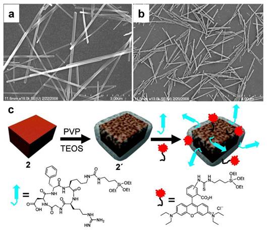 Theranostics Image