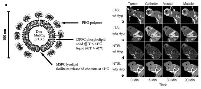 Theranostics Image