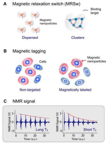 Theranostics Image