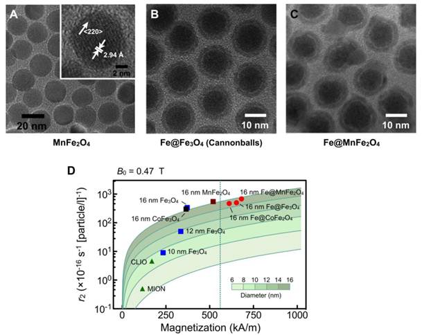 Theranostics Image