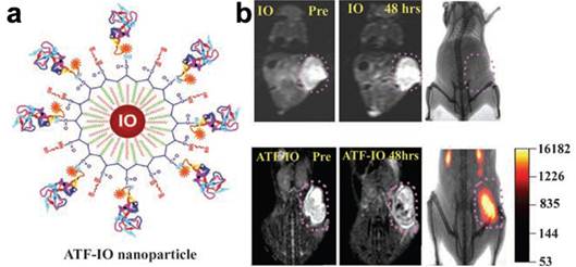 Theranostics Image