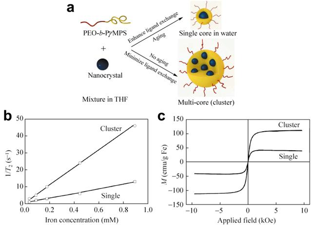 Theranostics Image