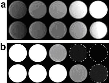 Theranostics Image