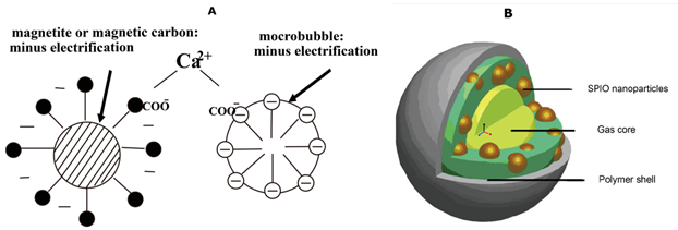 Theranostics Image