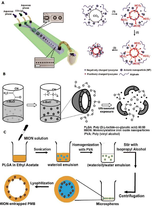 Theranostics Image