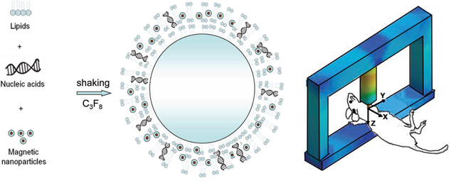 Theranostics Image