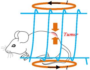 Theranostics Image