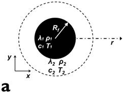 Theranostics Image