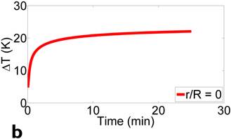 Theranostics Image