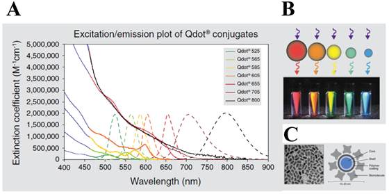 Theranostics Image