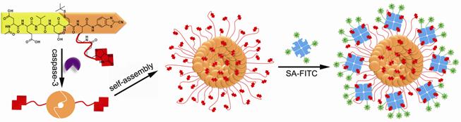 Theranostics Image