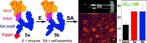 Theranostics Image