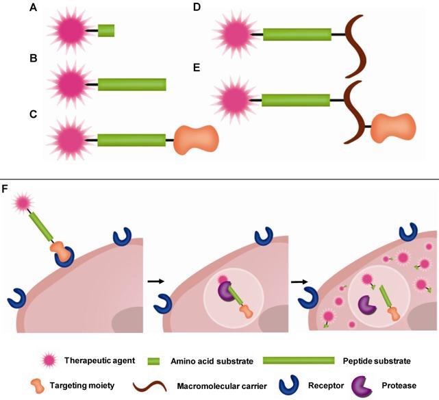 Theranostics Image